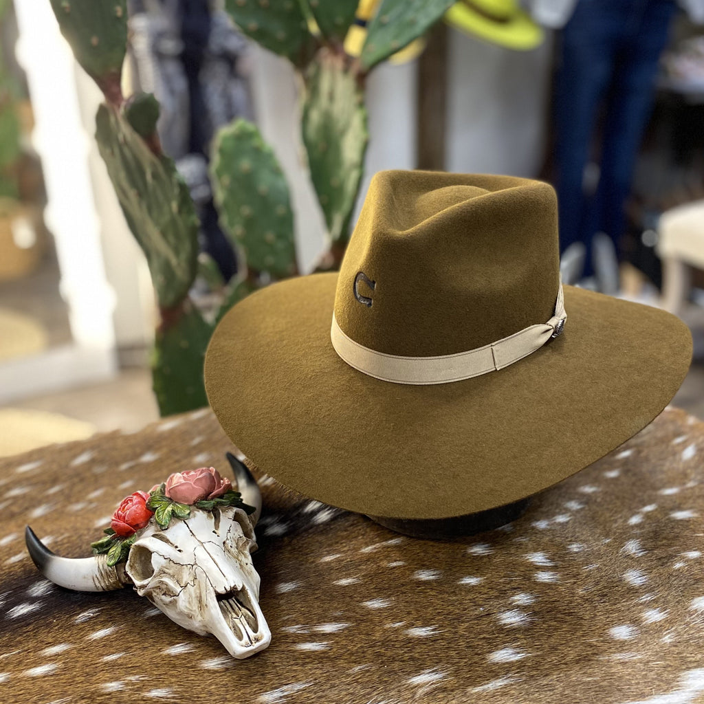 Charlie-1-Horse-Acorn-334-Brim  display picture 1