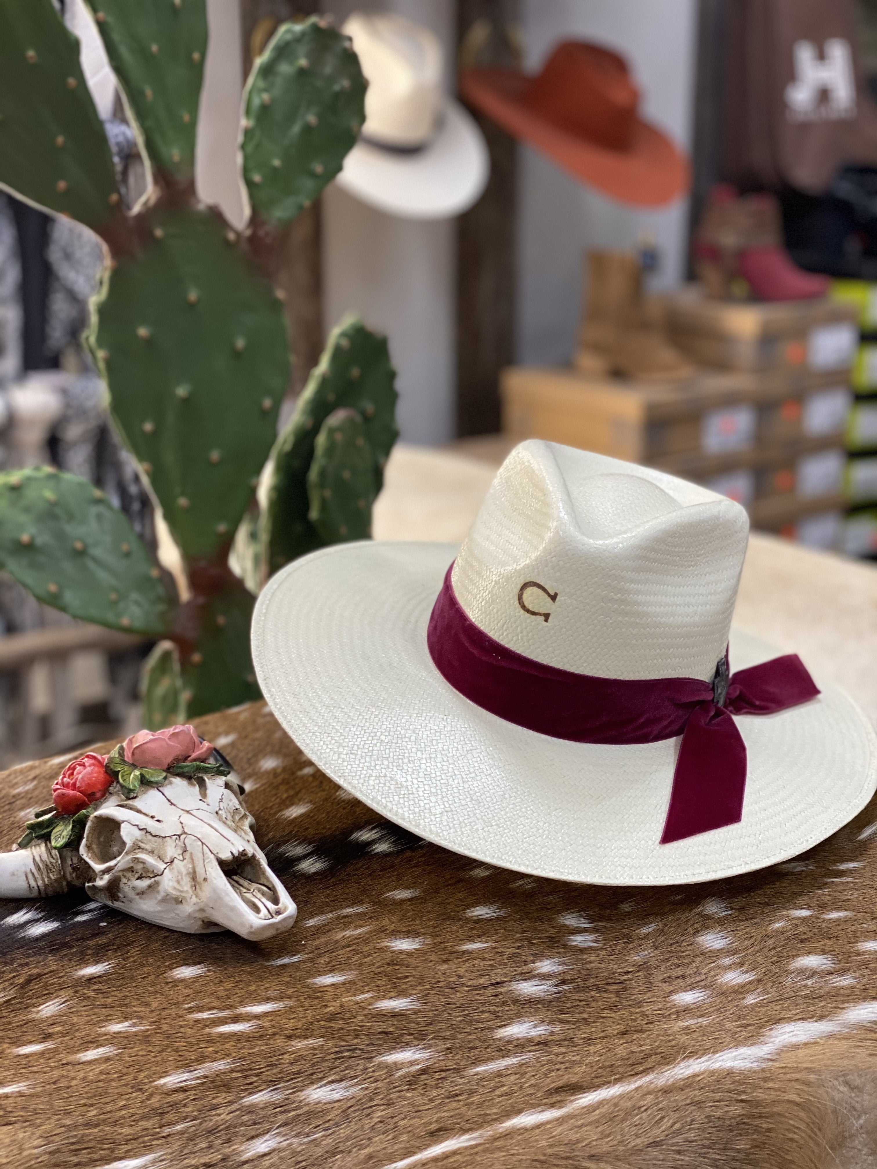 Charlie 1 Horse “Truth” 3”3/4 Brim - Jobes Hats