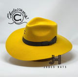 Charlie One Horse “Highway Yellow” Brown Hatband