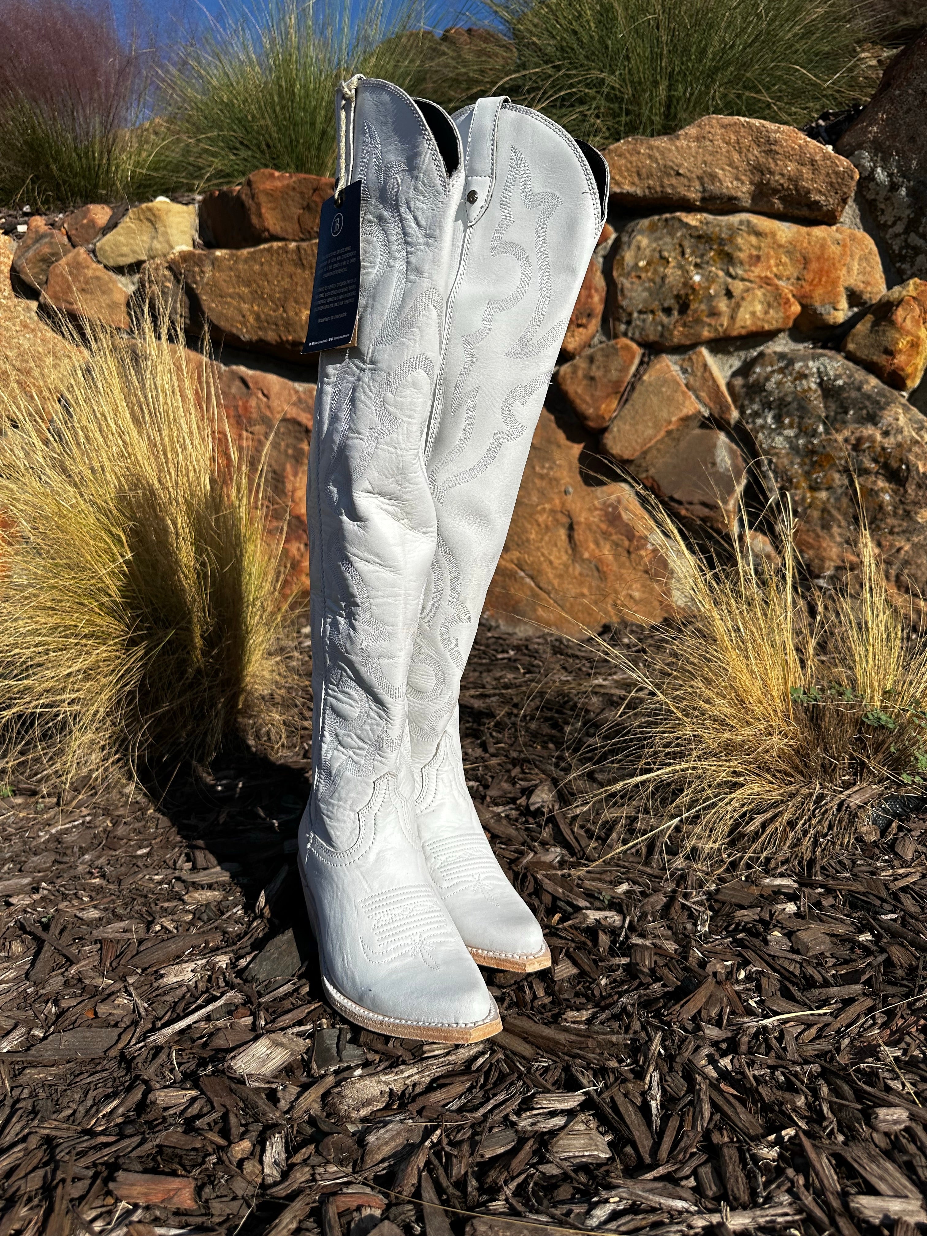 Liberty Black Allyssa Missouri Blanco - Womens Boots - Jobes Hats