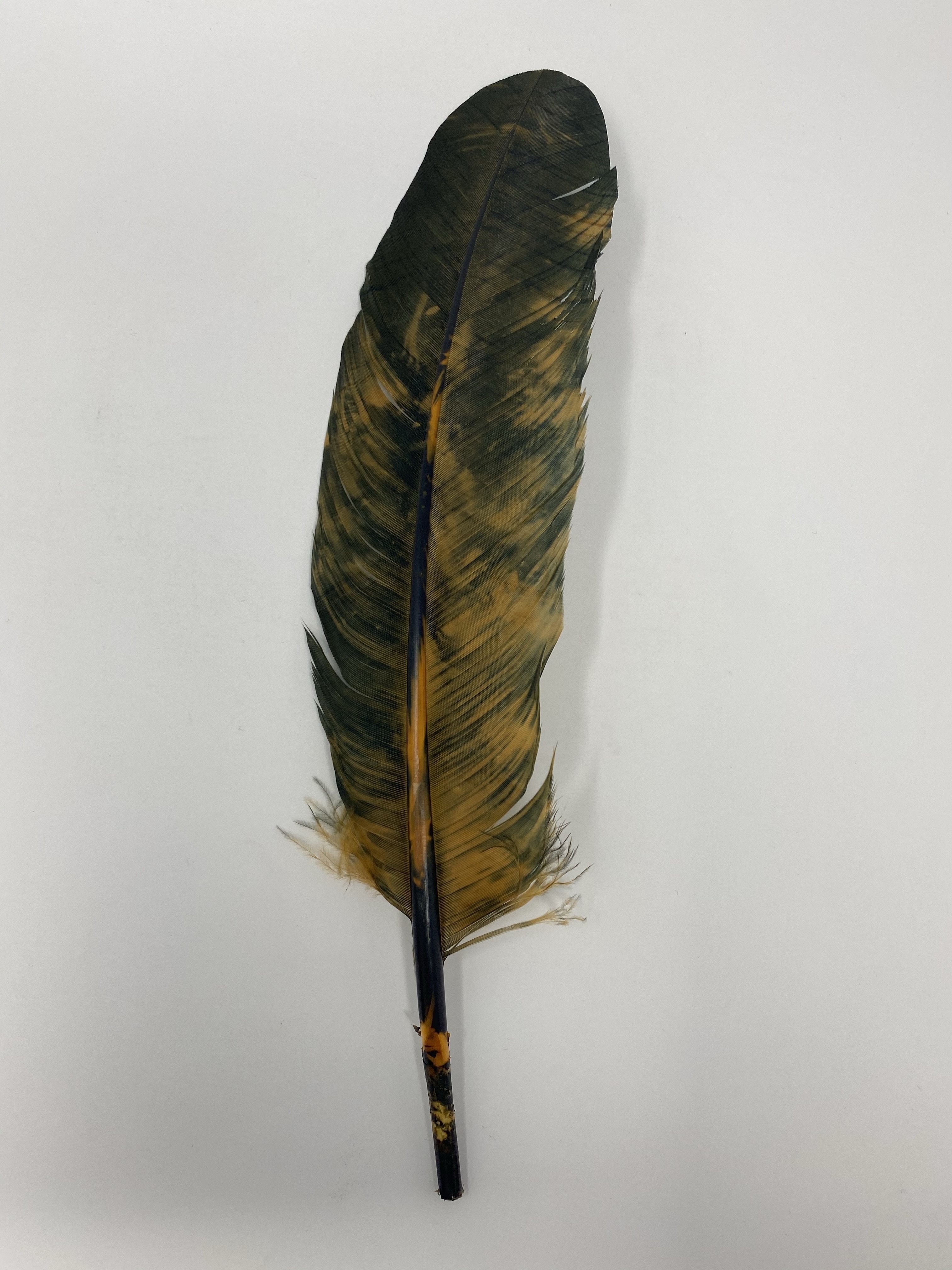 Turkey Feather- Black/Rust Painted Turkey Feather - Jobes Hats