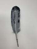 Turkey Feather- Molted Black/Grey Painted Turkey Feather