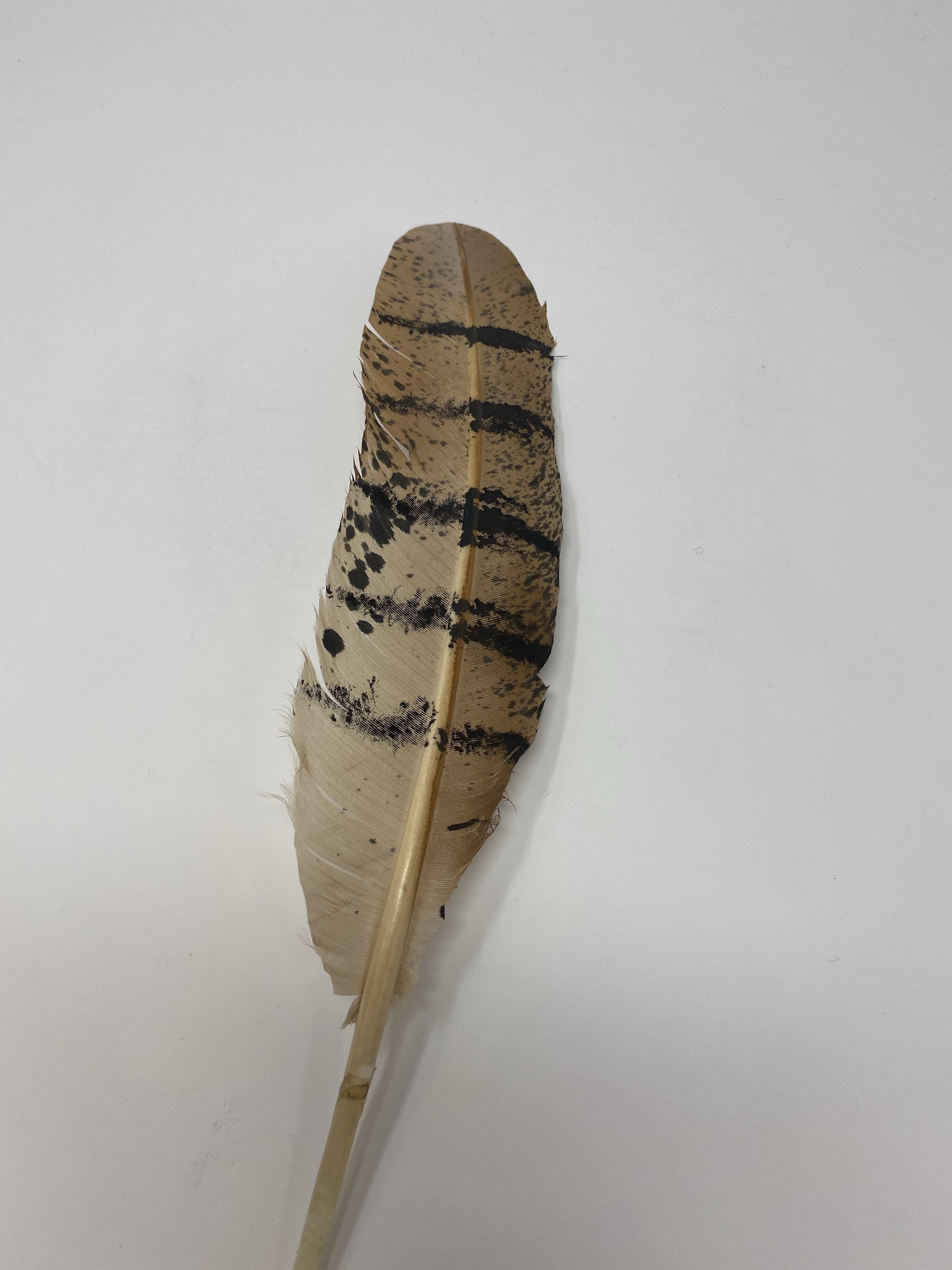 Turkey Feather-OWL Painted - Jobes Hats