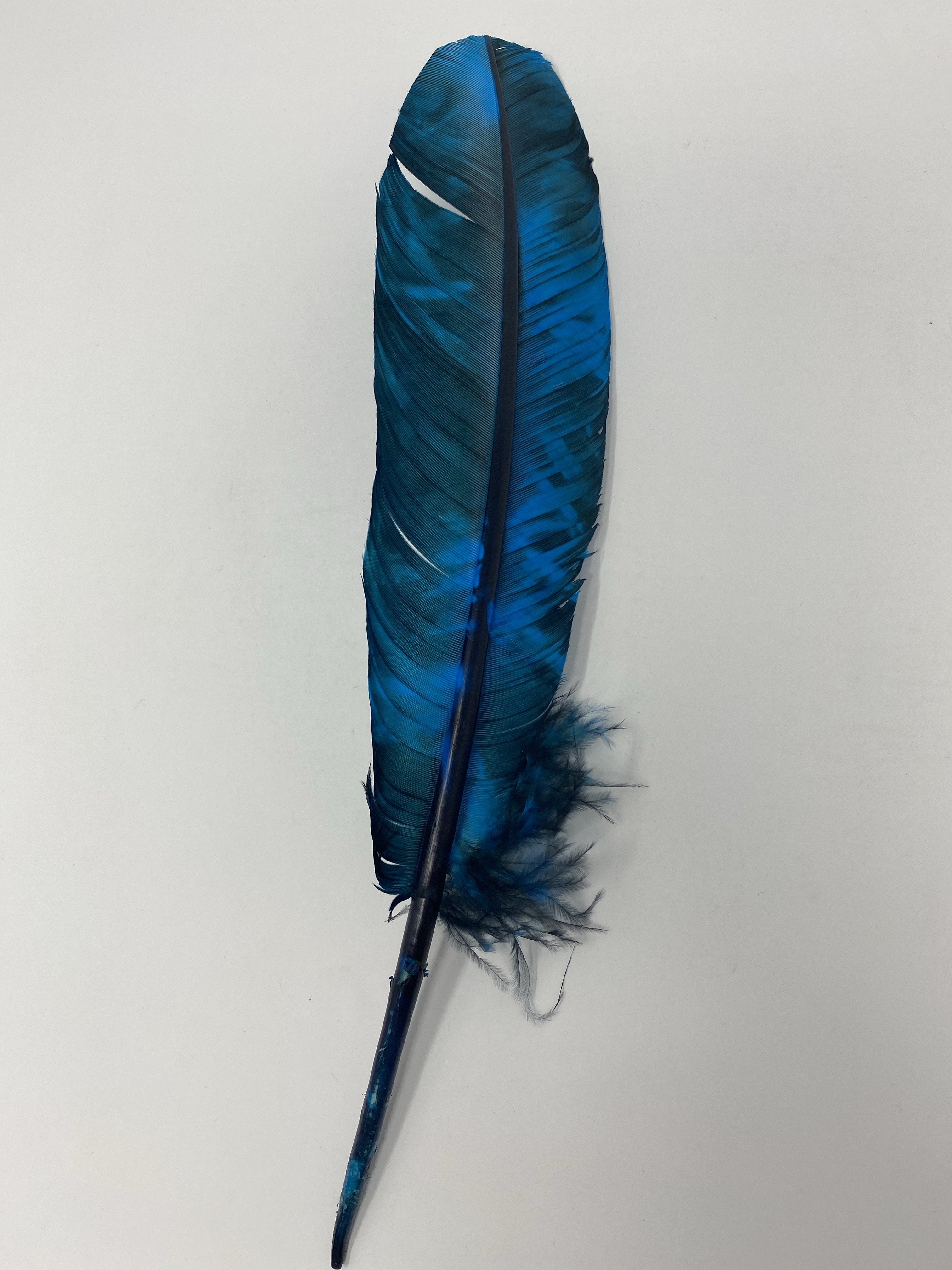 Turkey Feather-Royal Blue Painted - Jobes Hats