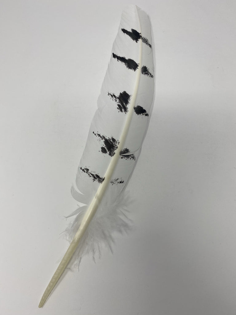 Turkey Feather- White/Black OWL Painted Turkey Feather - Jobes Hats